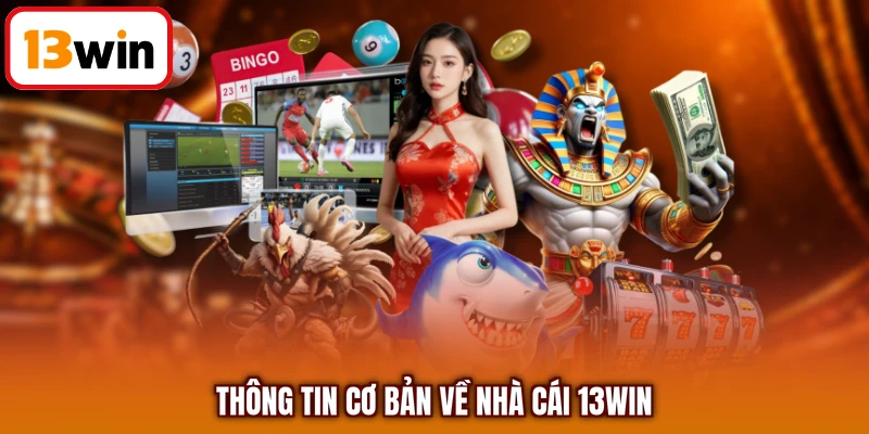 Thông tin cơ bản về nhà cái 13WIN